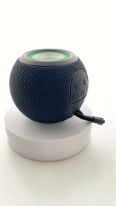 parlante modelo Alexa